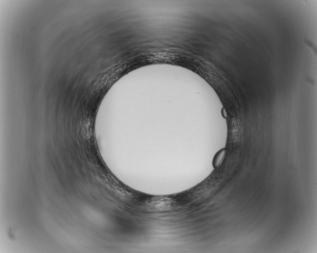 X0000099580514200806131321