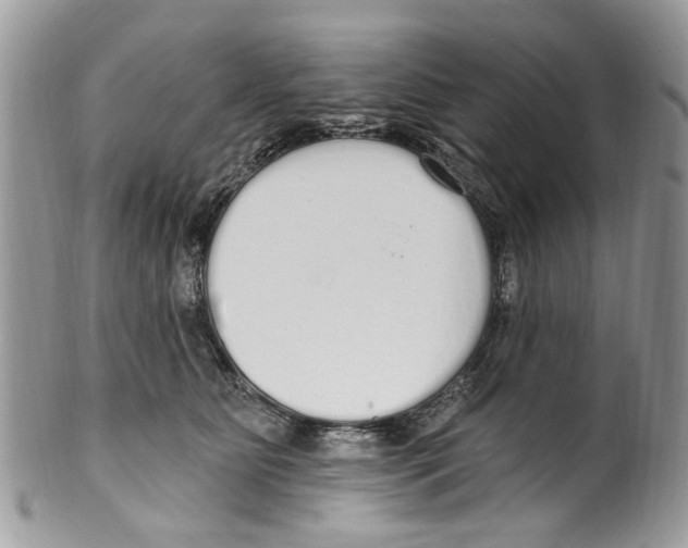 X0000099580515200806131321