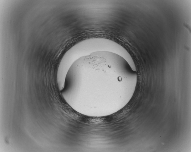 X0000099580516200806131321