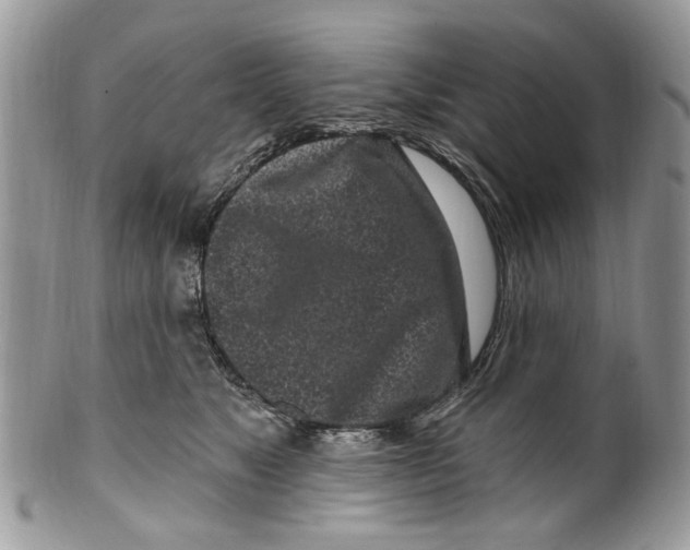 X0000099580517200806131321