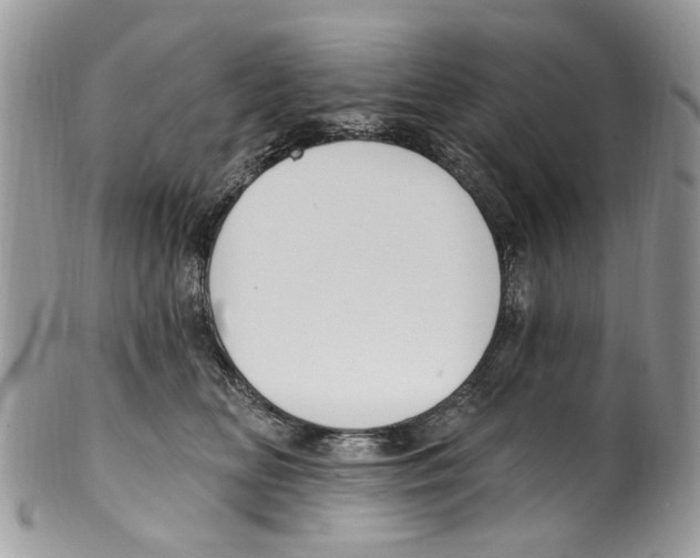 X0000099580518200806131321