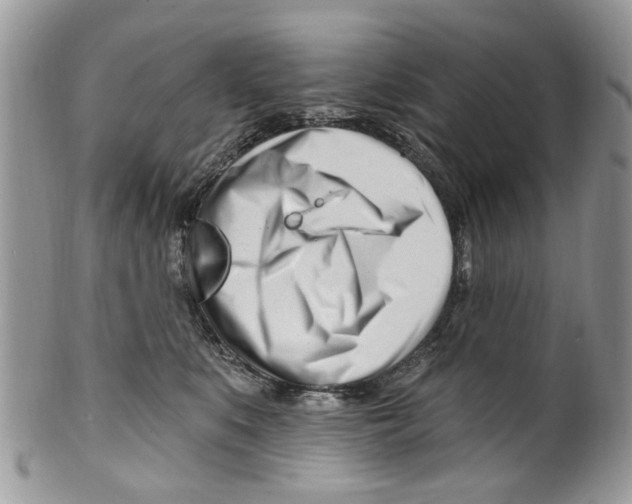 X0000099580519200806131321