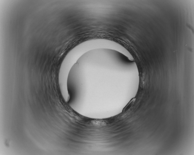 X0000099580520200806131321