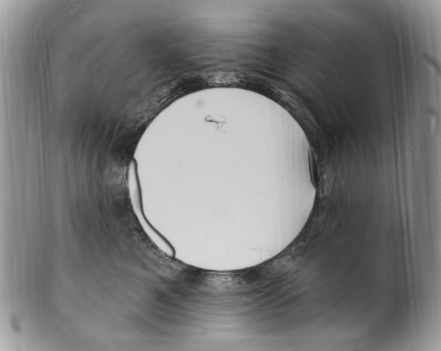 X0000099580521200806131321