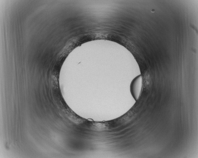 X0000099580522200806131321