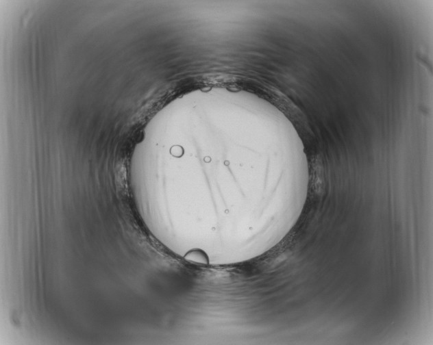 X0000099580523200806131321