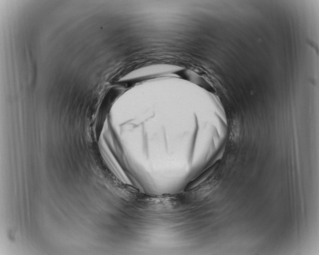 X0000099580524200806131321