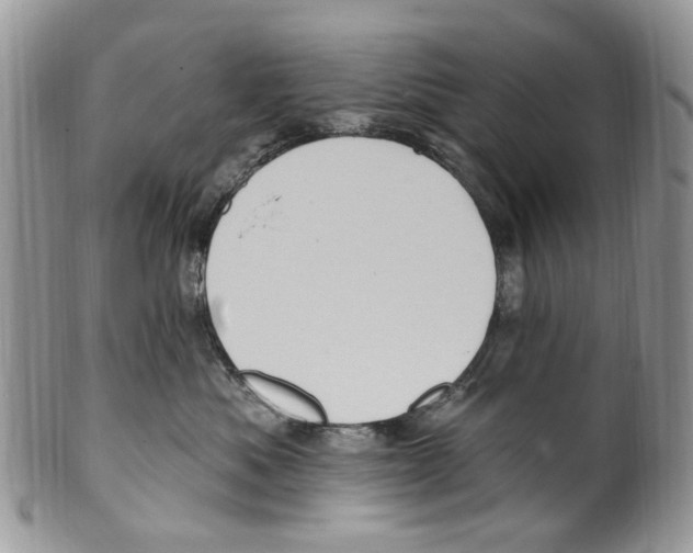 X0000099580525200806131321