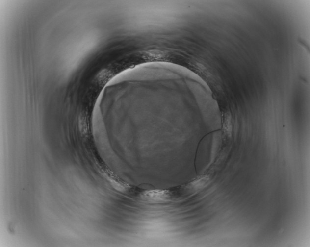 X0000099580526200806131321