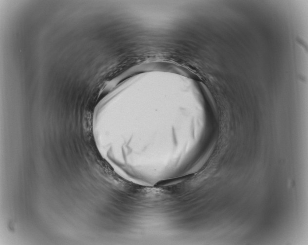 X0000099580528200806131321