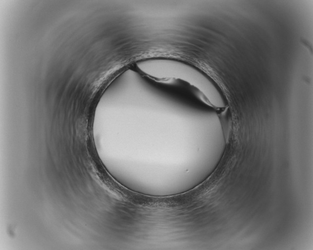 X0000099580530200806131320