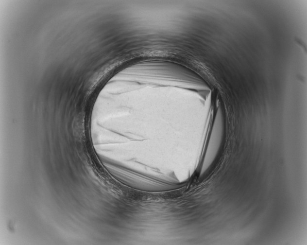 X0000099580531200806131320