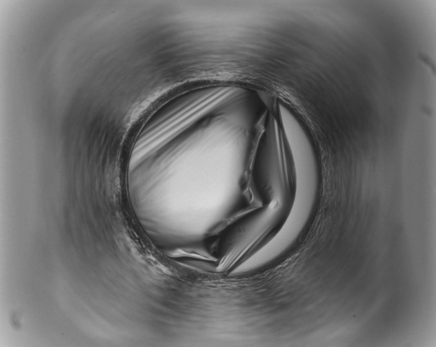 X0000099580532200806131320