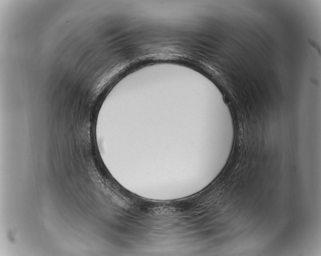 X0000099580535200806131320