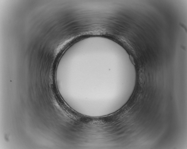 X0000099580536200806131320