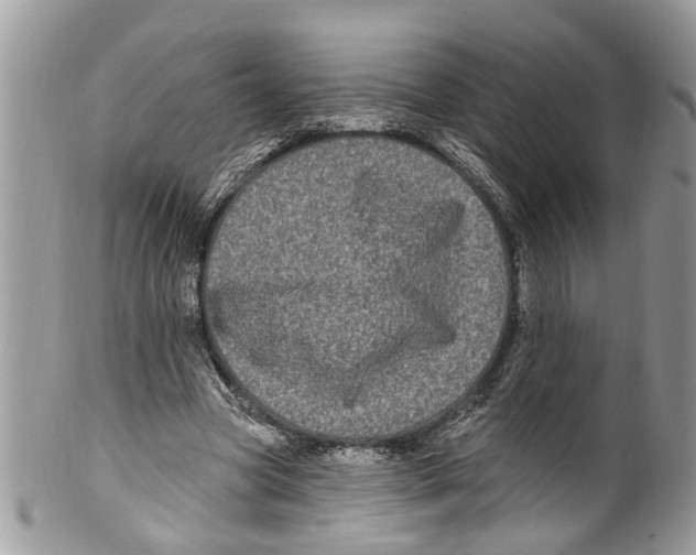 X0000099580537200806131320