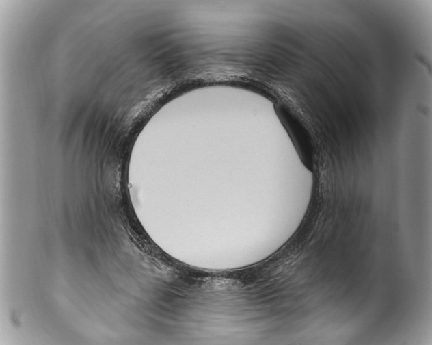 X0000099580539200806131320