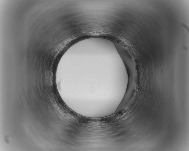 X0000099580540200806131320