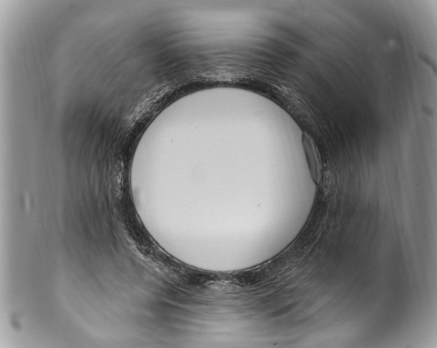 X0000099580544200806131320