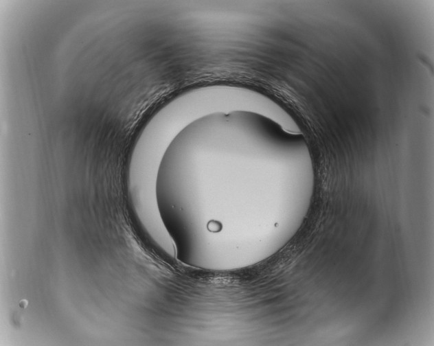 X0000099580546200806131320