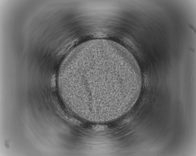 X0000099580549200806131320