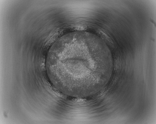 X0000099580553200806131320