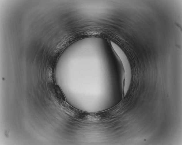 X0000099580556200806131320