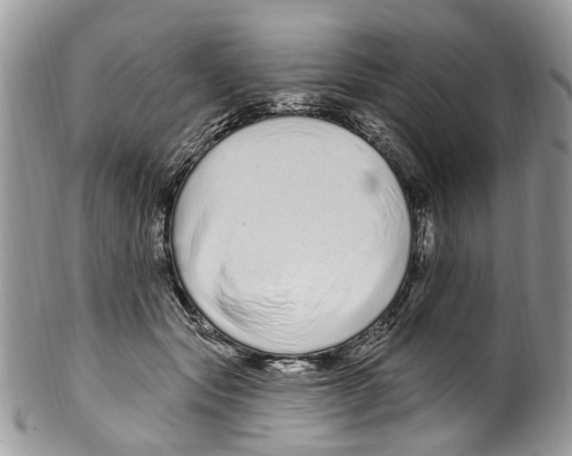 X0000099580557200806131320