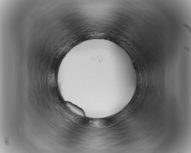 X0000099580564200806131320