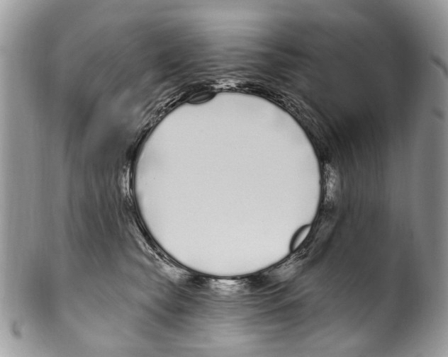 X0000099580565200806131321