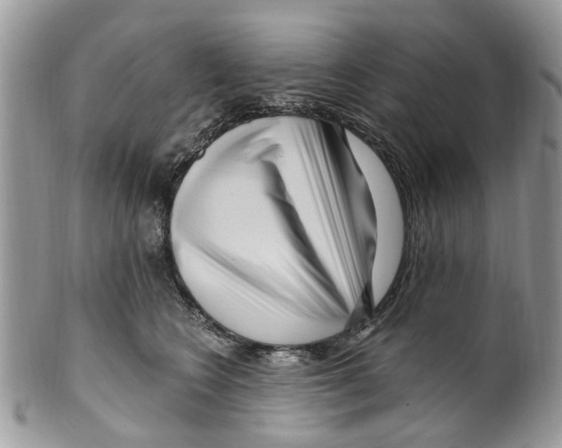 X0000099580566200806131321