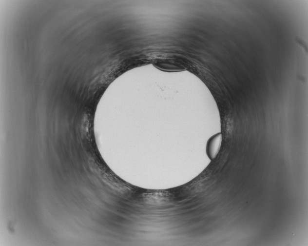 X0000099580567200806131321