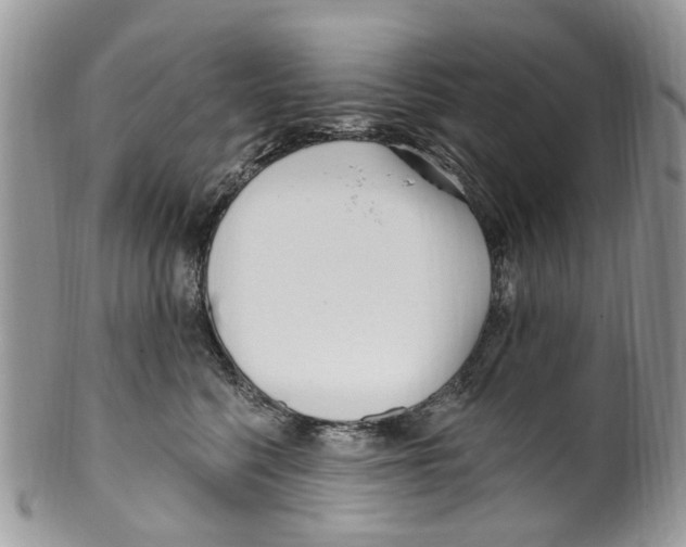 X0000099580568200806131321