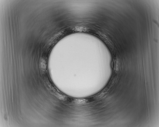 X0000099580569200806131321