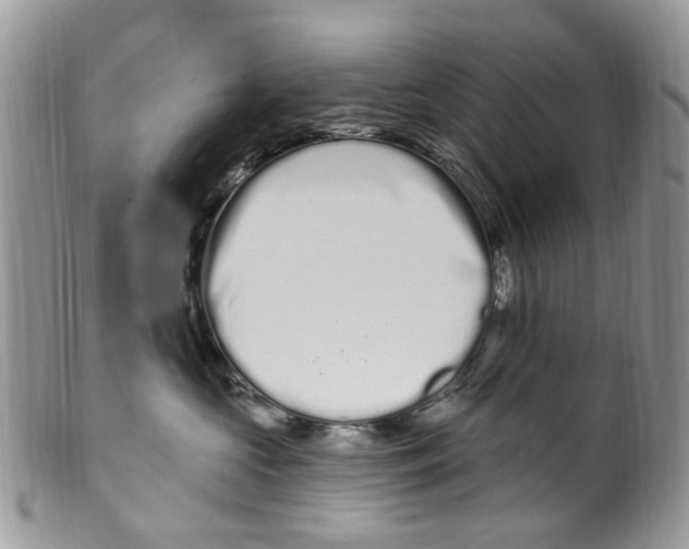 X0000099580573200806131321