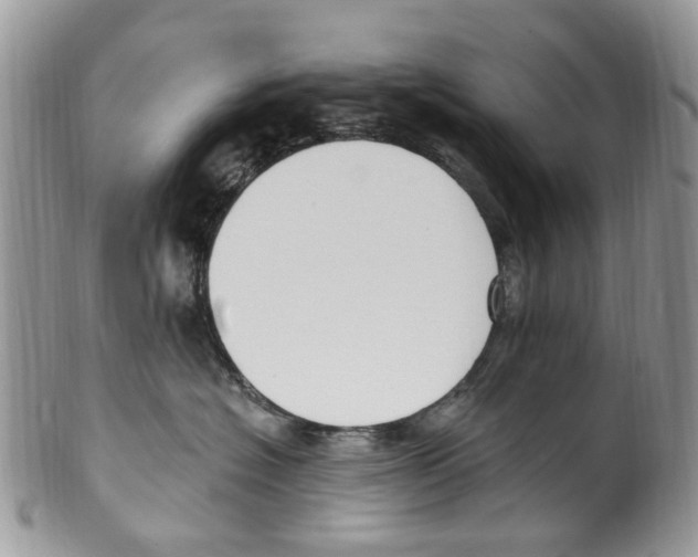 X0000099580574200806131321