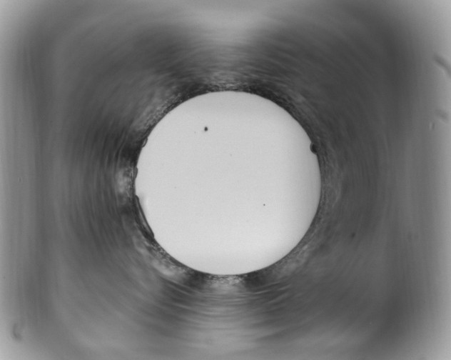 X0000099580576200806131321