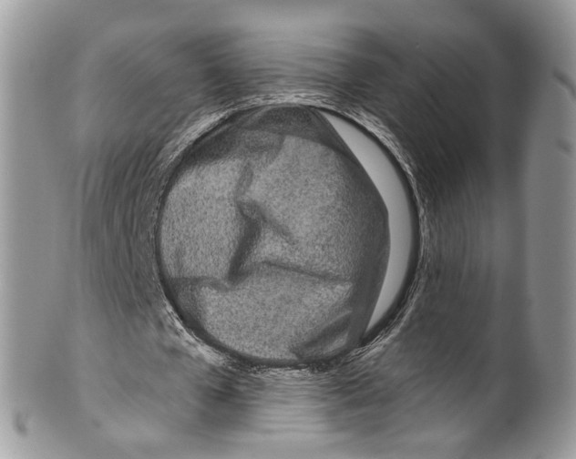 X0000099580577200806131320