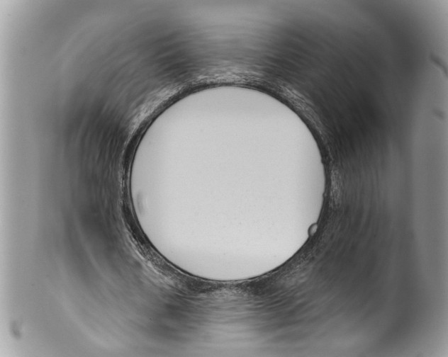 X0000099580578200806131320