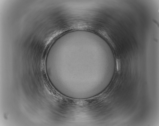 X0000099580579200806131320