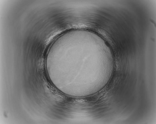 X0000099580583200806131320