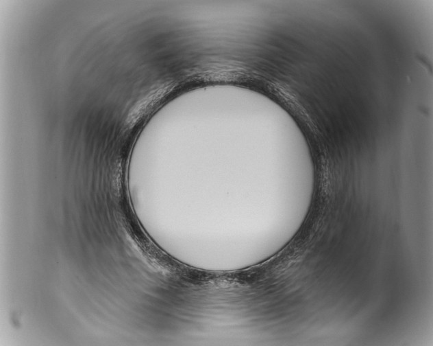 X0000099580586200806131320