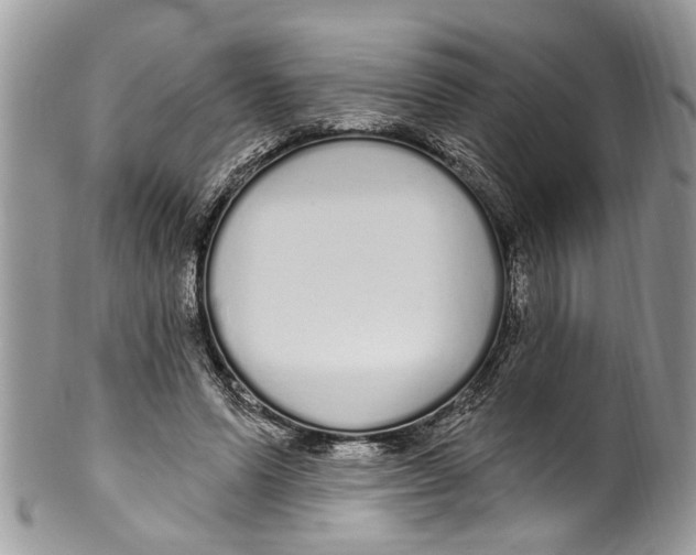 X0000099580591200806131320