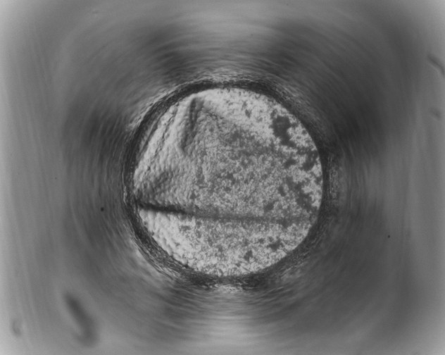 X0000099580592200806131320