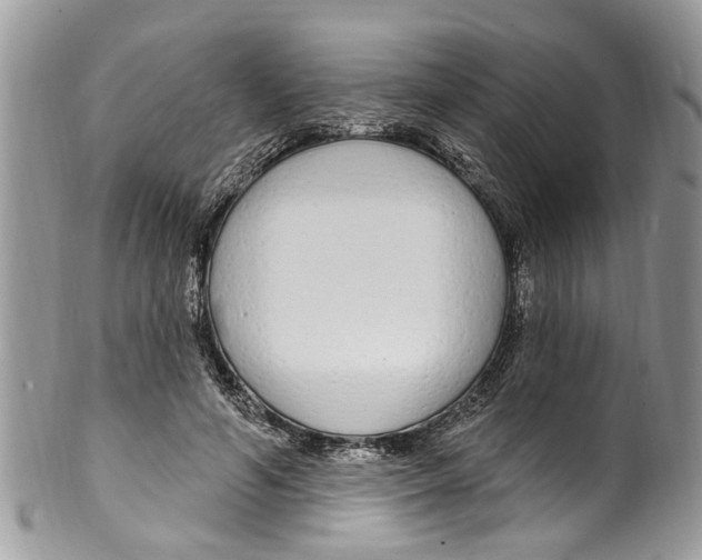 X0000099580594200806131320