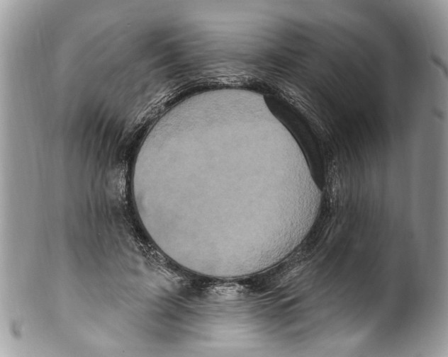 X0000099580595200806131320