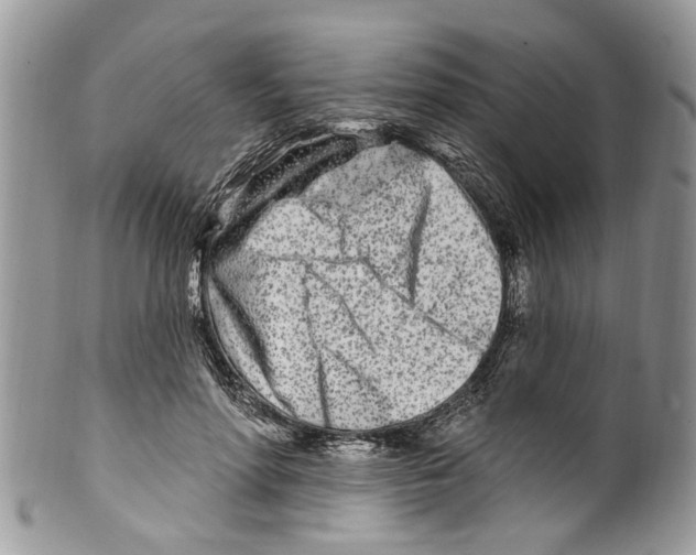 X0000099580598200806131320