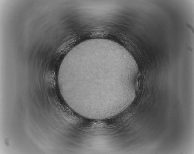 X0000099580599200806131320