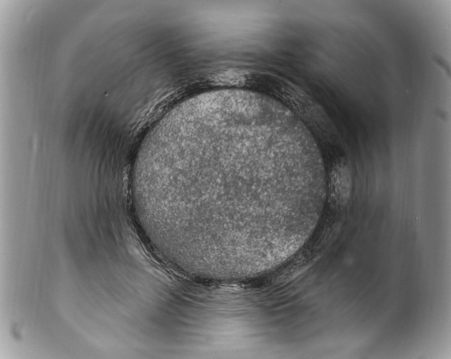 X0000099580600200806131320