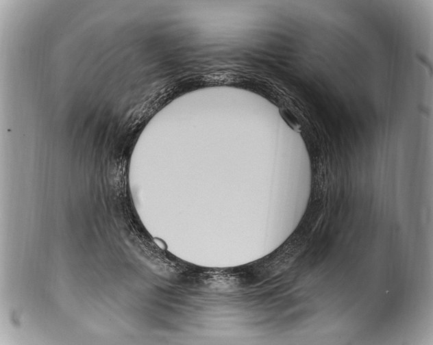 X0000099580601200806131320